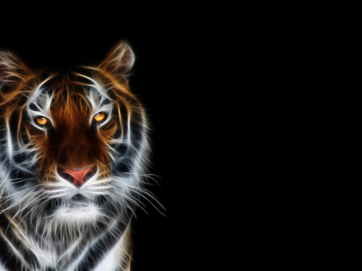 591489 (a): :1600x1200